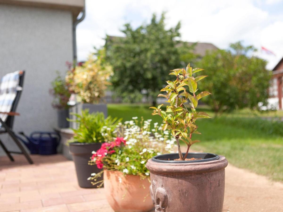 Sunny Flat In Bad Driburg With Garden Διαμέρισμα Εξωτερικό φωτογραφία